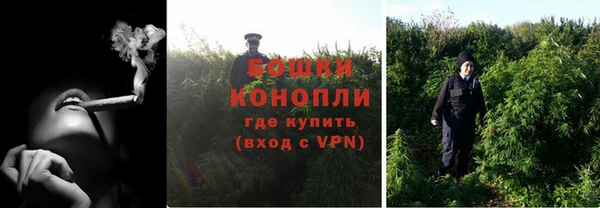 мяу мяу мука Абаза