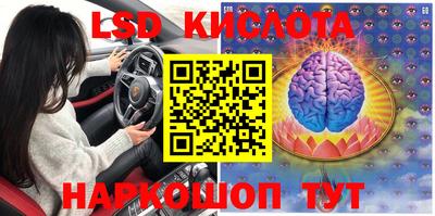 гидра Славгород