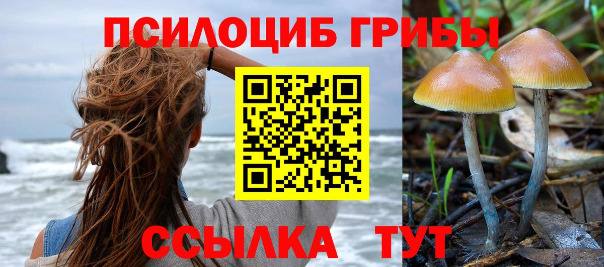 Псилоцибиновые грибы мицелий  Вход с VPN  Галлюциногенные грибы прущие грибы  Уфа 