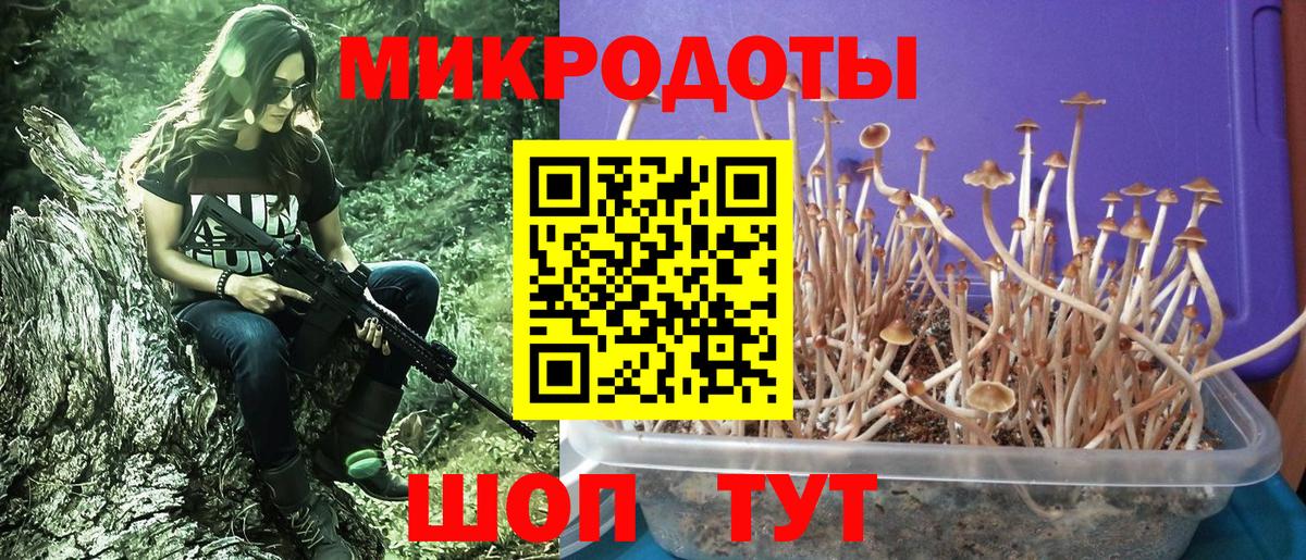 Псилоцибиновые грибы Cubensis Уфа