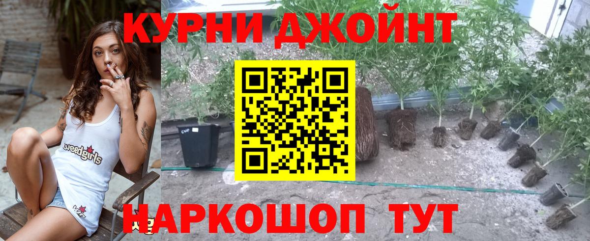 Канабис Amnesia  Вход с VPN  Каннабис гибрид  Уфа 